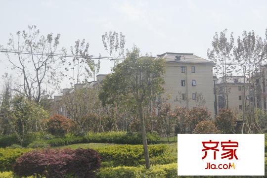 萬(wàn)科城綠化（2015-04-22）