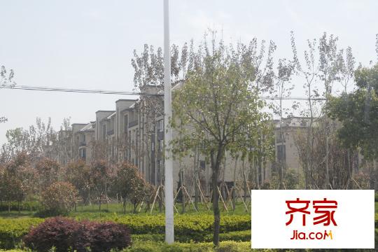 萬科城
