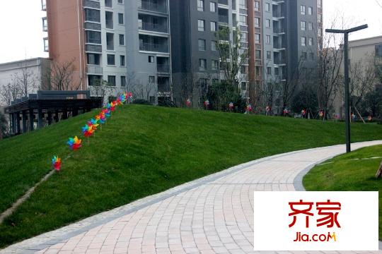 雅居樂國際小區(qū)道路及綠化（2015-12-15）