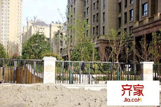 香頌溪岸小區(qū)內(nèi)綠化（2015-12-2）