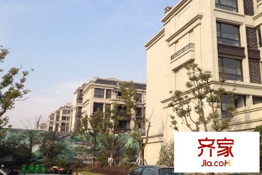 朗悅?cè)A府多層（2015-2-13）