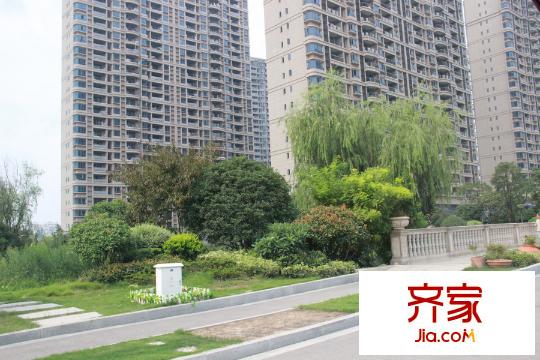 寶應(yīng)碧桂園小區(qū)綠化（2015-08-12）
