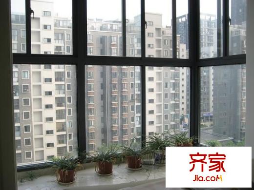 星聯(lián)邦外景圖陽臺