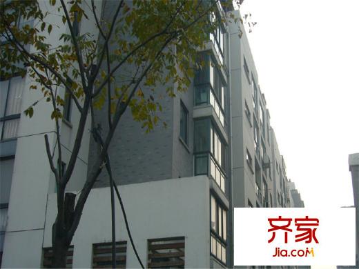 星聯(lián)邦