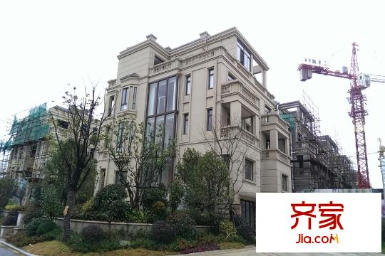 塞納春天2014-12-30
