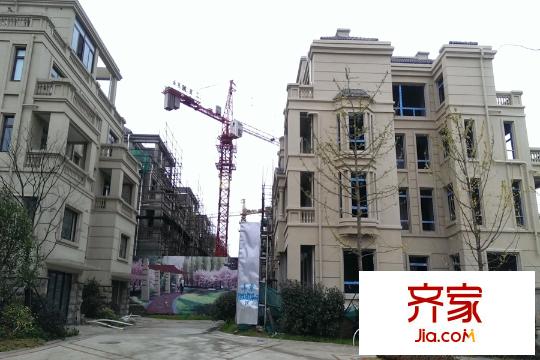 塞納春天2014-12-30