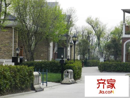 加州莊園實(shí)景圖2013-4-4