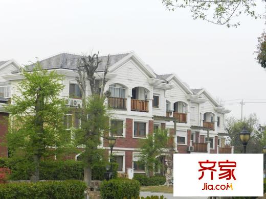 加州莊園實(shí)景圖2013-4-4