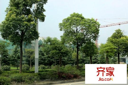 華利瓏庭工程進(jìn)度（2015-07-22）