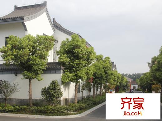 豪第坊獨(dú)棟別墅2013-8-12
