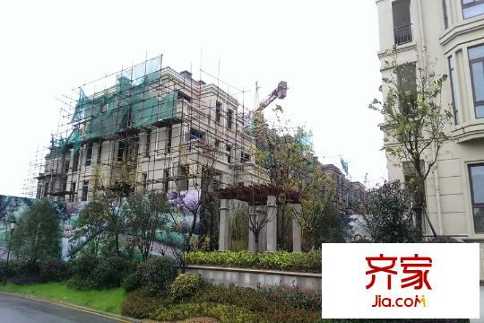 塞納春天2014-12-30