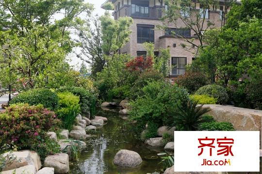 濱城溪上明堂小區(qū)內(nèi)綠化景觀（2015-9-10）