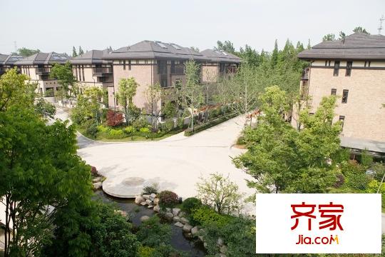 濱城溪上明堂小區(qū)內(nèi)綠化景觀（2015-9-10）