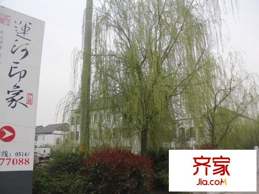 江揚運河印象2014-10-11