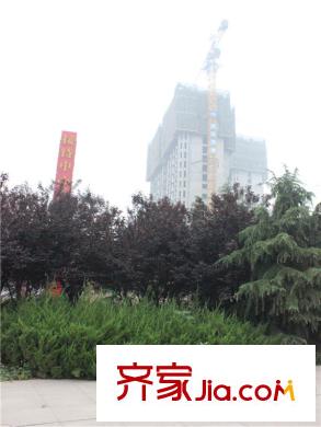 藍(lán)鉆莊園附近綠化