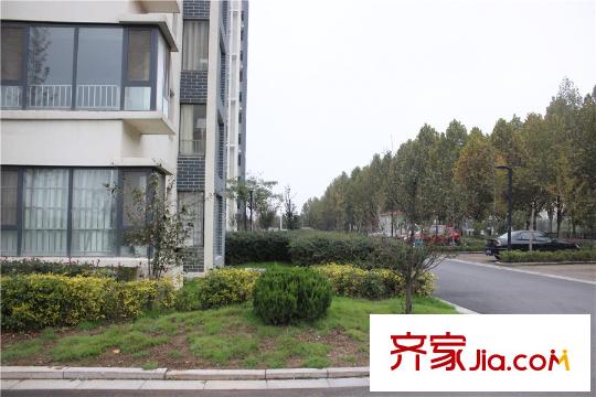 濱河新天地小區(qū)內(nèi)綠化配套