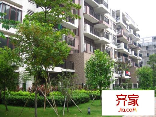 百合佳苑外景圖  
