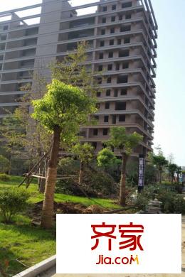 盛德城市廣場(chǎng)二次綠化（2015-09-09）