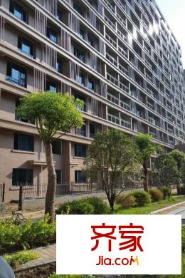 盛德城市廣場(chǎng)二次綠化（2015-09-09）