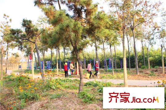 汀香郡周邊健身廣場