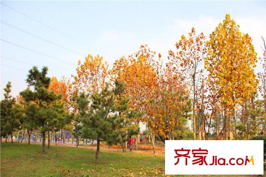 汀香郡周邊健身廣場