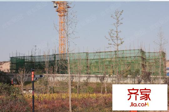 綠地?國港城洋房施工進(jìn)度（2015.11）