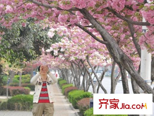 萊安星座周邊唐城墻遺址公園
