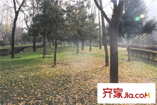 數(shù)字365周邊唐城墻遺址公園