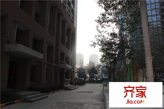 數(shù)字365小區(qū)實(shí)景（2015-12-29）