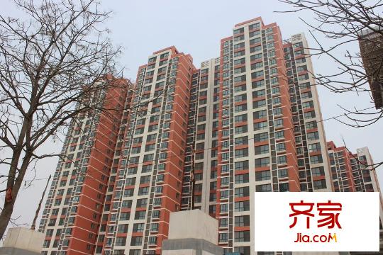 紫氣東來工程進(jìn)度（2015-03-11）