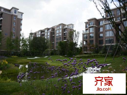 倚能維蘭德小鎮(zhèn)小區(qū)實(shí)景（2014.9.1)