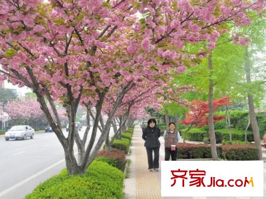 萊安星座周邊唐城墻遺址公園