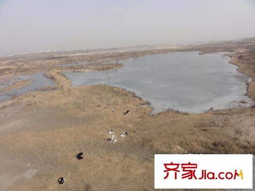 宇宏?健康花城周邊渭河