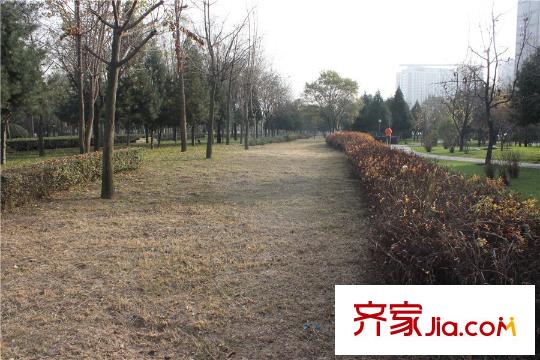 數(shù)字365周邊唐城墻遺址公園