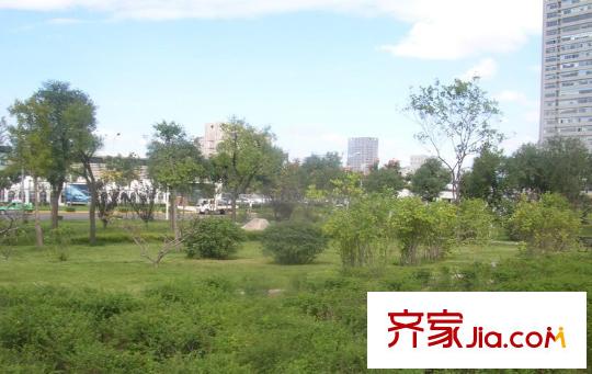 景都唐城遺址公園