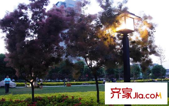 景都唐城遺址公園4