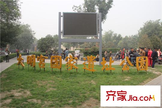 白樺林?明天周邊配套-大明宮公園（2015-10-20）