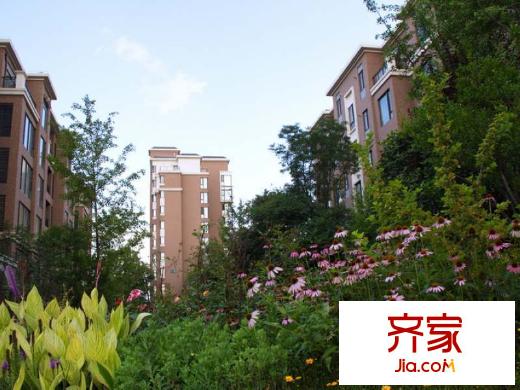 倚能維蘭德小鎮(zhèn)小區(qū)實(shí)景（2014.9.1)