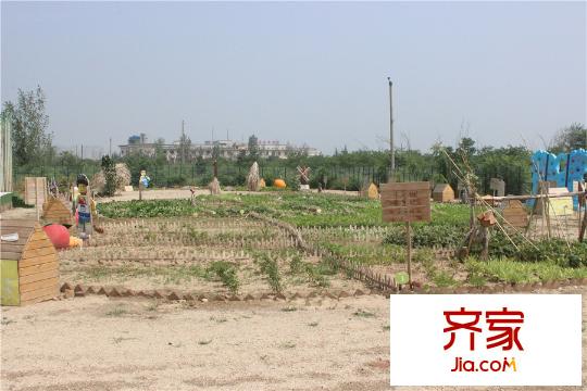 楓林?九溪小區(qū)開(kāi)心農(nóng)場(chǎng)