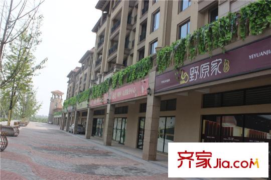 楓林?九溪周邊配套小區(qū)商業(yè)