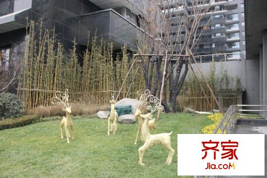 曲江玫瑰園園林景觀（2015-12-13）