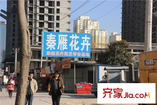 時(shí)豐中央公園原山周邊花卉市場(chǎng)