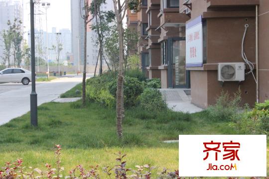 昆明時光小區(qū)綠化（2015.9.16）