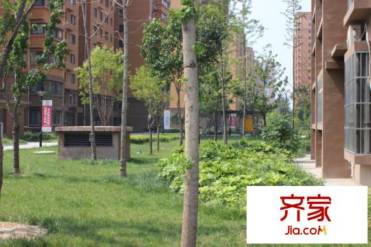 昆明時光小區(qū)綠化（2015.9.16）