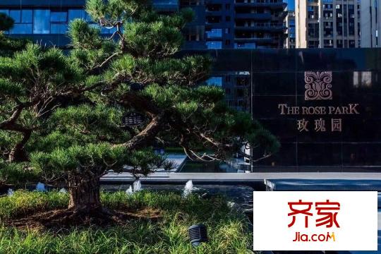 曲江玫瑰園（2015-11-29)