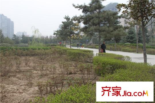西市佳境牡丹園