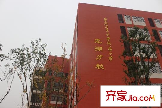 龍湖香醍西岸西北大附小龍湖分校