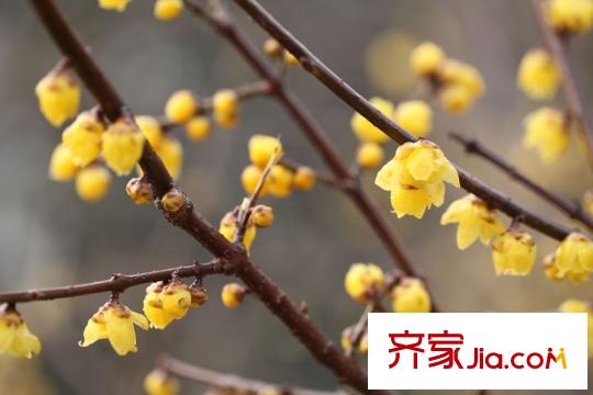 啟迪書香逸居古渡公園