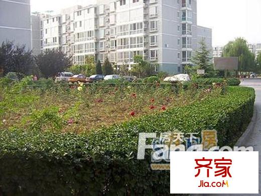 錦林苑外景圖 