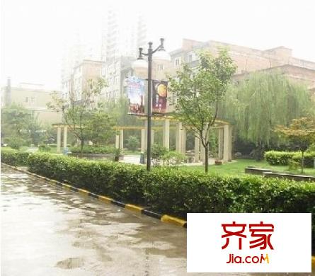 楓葉高層外景圖 